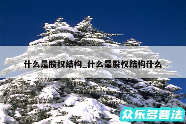 什么是股权结构_什么是股权结构什么