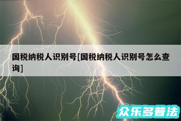 国税纳税人识别号及国税纳税人识别号怎么查询