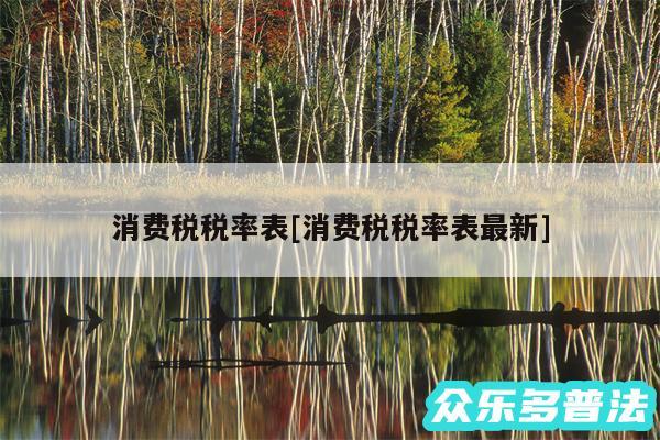 消费税税率表及消费税税率表最新