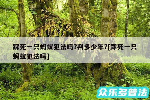 踩死一只蚂蚁犯法吗?判多少年?及踩死一只蚂蚁犯法吗