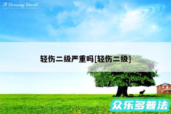 轻伤二级严重吗及轻伤二级