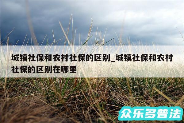 城镇社保和农村社保的区别_城镇社保和农村社保的区别在哪里