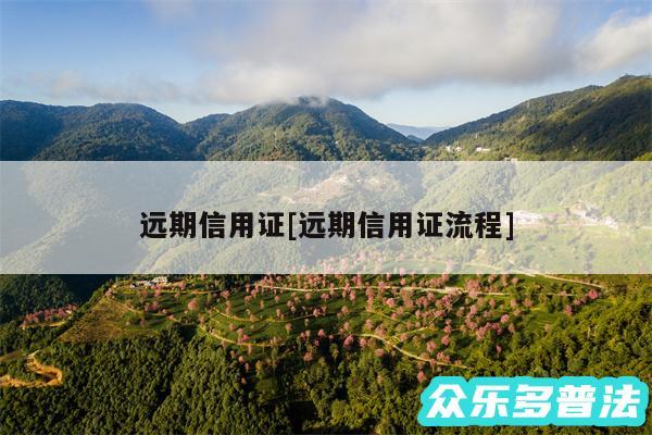 远期信用证及远期信用证流程