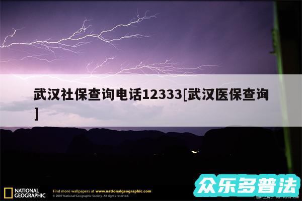 武汉社保查询电话12333及武汉医保查询