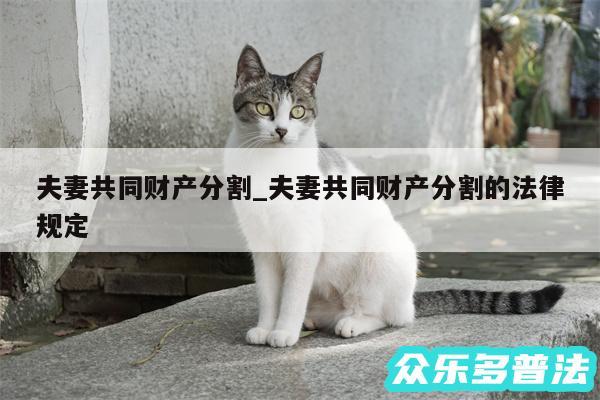 夫妻共同财产分割_夫妻共同财产分割的法律规定