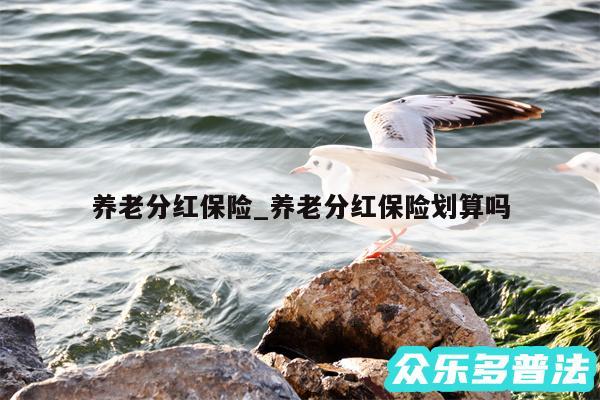 养老分红保险_养老分红保险划算吗