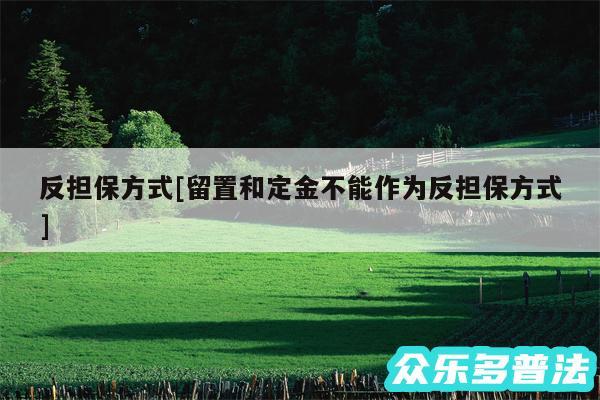 反担保方式及留置和定金不能作为反担保方式