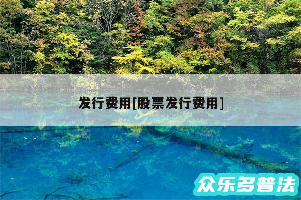 发行费用及股票发行费用