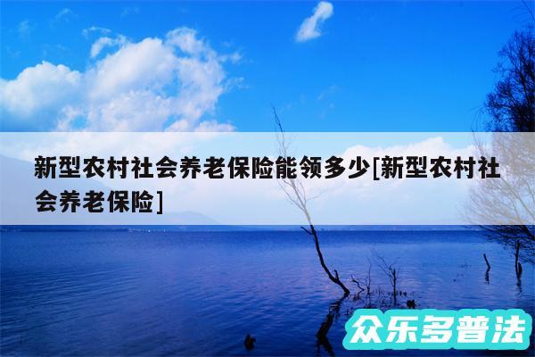 新型农村社会养老保险能领多少及新型农村社会养老保险
