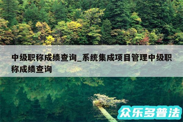 中级职称成绩查询_系统集成项目管理中级职称成绩查询