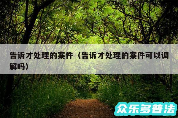 告诉才处理的案件以及告诉才处理的案件可以调解吗