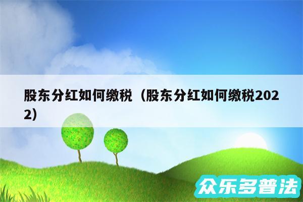 股东分红如何缴税以及股东分红如何缴税2024