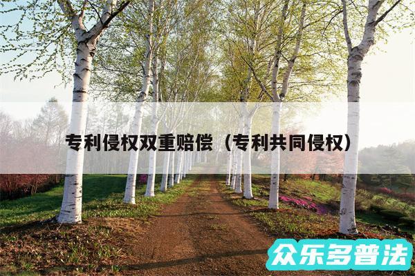 专利侵权双重赔偿以及专利共同侵权