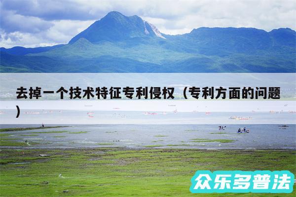 去掉一个技术特征专利侵权以及专利方面的问题