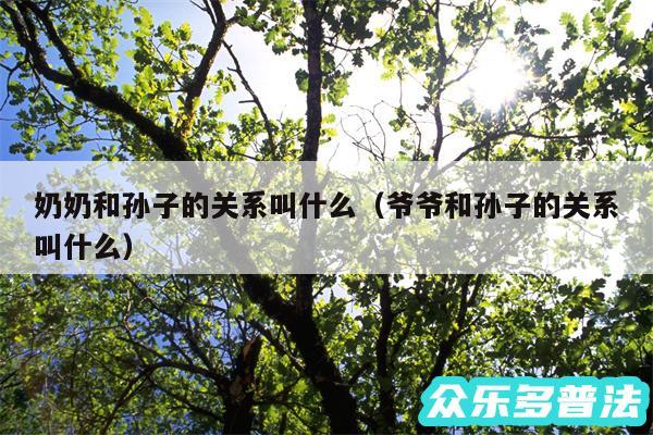 奶奶和孙子的关系叫什么以及爷爷和孙子的关系叫什么