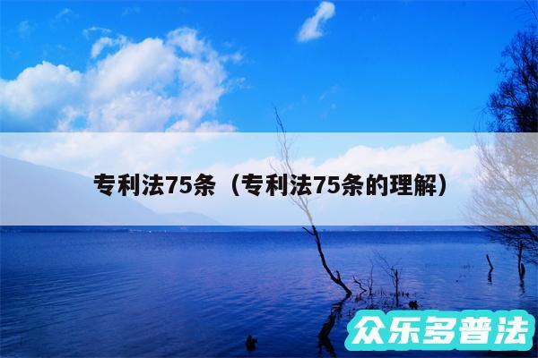 专利法75条以及专利法75条的理解