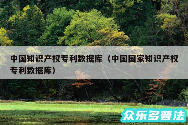 中国知识产权专利数据库以及中国国家知识产权专利数据库