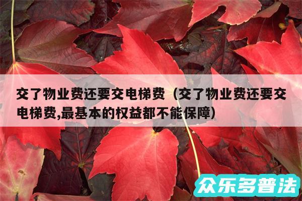 交了物业费还要交电梯费以及交了物业费还要交电梯费,最基本的权益都不能保障