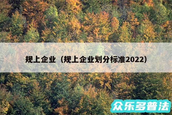 规上企业以及规上企业划分标准2024