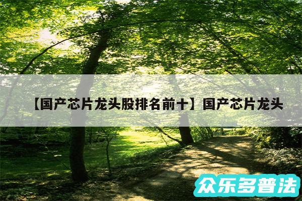 国产芯片龙头股排名前十还有国产芯片龙头