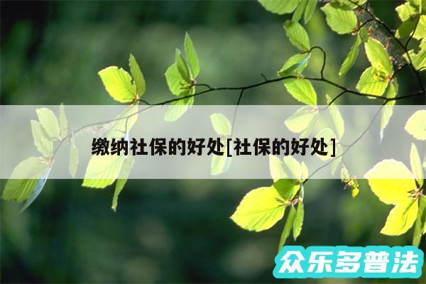 缴纳社保的好处及社保的好处