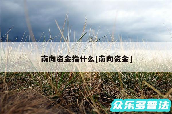南向资金指什么及南向资金