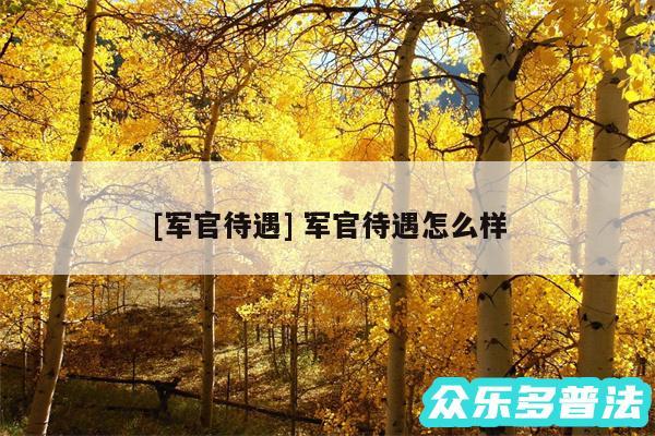 及军官待遇 军官待遇怎么样