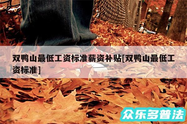 双鸭山最低工资标准薪资补贴及双鸭山最低工资标准