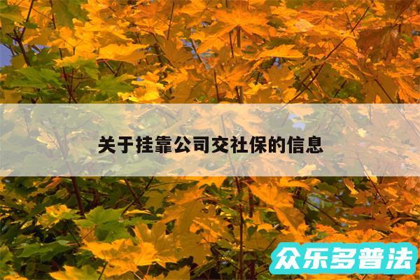 关于挂靠公司交社保的信息