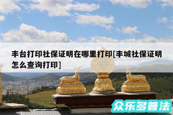 丰台打印社保证明在哪里打印及丰城社保证明怎么查询打印
