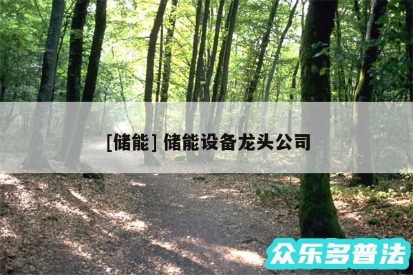 及储能 储能设备龙头公司