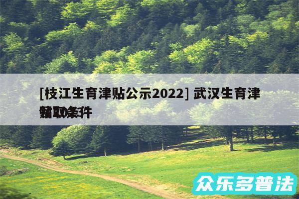 及枝江生育津贴公示2024 武汉生育津贴2024领取条件