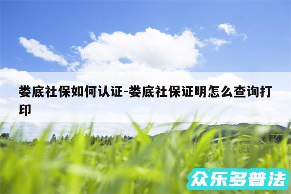 娄底社保如何认证-娄底社保证明怎么查询打印