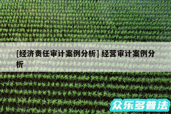 及经济责任审计案例分析 经营审计案例分析