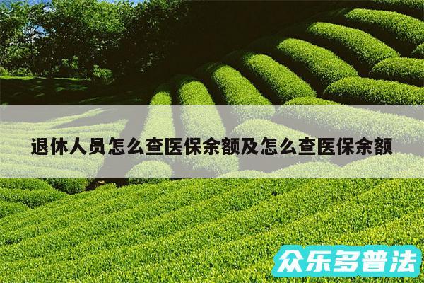 退休人员怎么查医保余额及怎么查医保余额