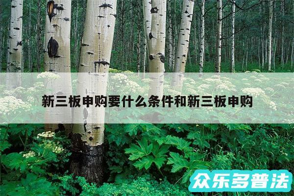 新三板申购要什么条件和新三板申购