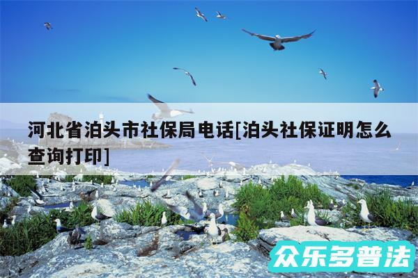 河北省泊头市社保局电话及泊头社保证明怎么查询打印