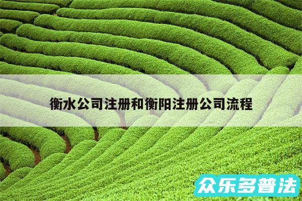 衡水公司注册和衡阳注册公司流程