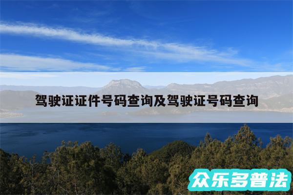 驾驶证证件号码查询及驾驶证号码查询