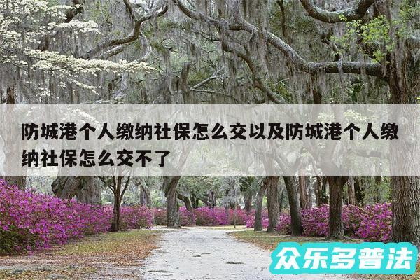 防城港个人缴纳社保怎么交以及防城港个人缴纳社保怎么交不了