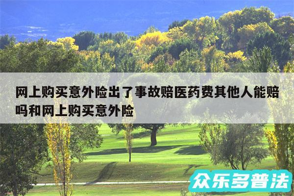 网上购买意外险出了事故赔医药费其他人能赔吗和网上购买意外险