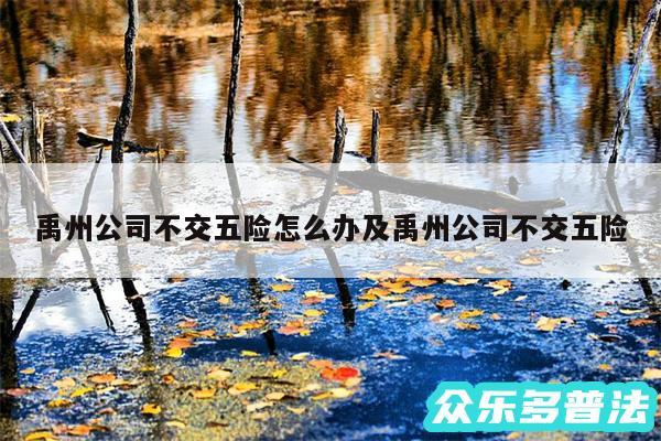 禹州公司不交五险怎么办及禹州公司不交五险