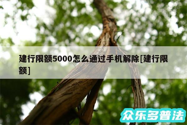 建行限额5000怎么通过手机解除及建行限额