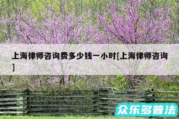 上海律师咨询费多少钱一小时及上海律师咨询