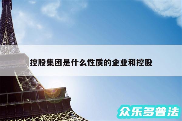 控股集团是什么性质的企业和控股
