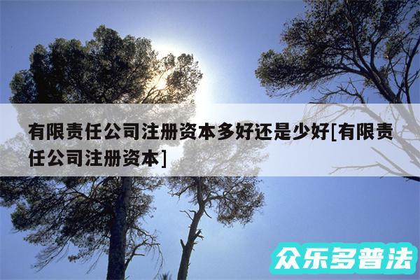 有限责任公司注册资本多好还是少好及有限责任公司注册资本