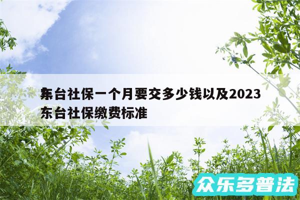 东台社保一个月要交多少钱以及2024年东台社保缴费标准
