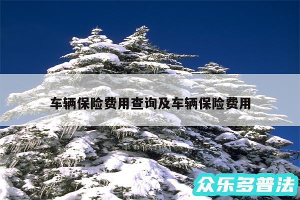 车辆保险费用查询及车辆保险费用