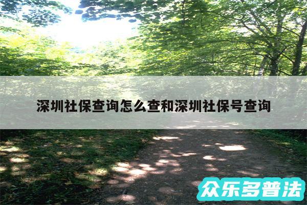 深圳社保查询怎么查和深圳社保号查询
