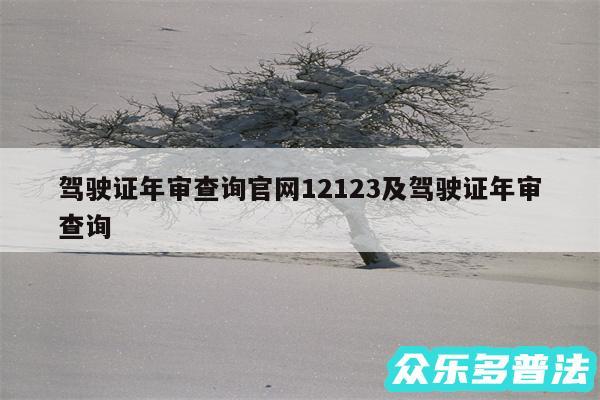 驾驶证年审查询官网12123及驾驶证年审查询